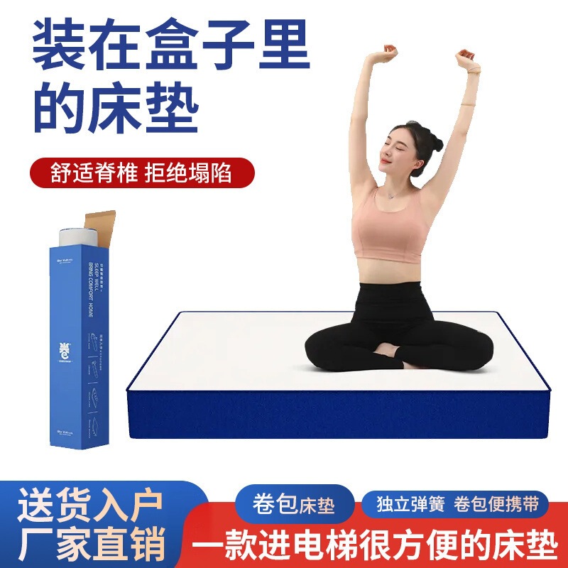 Mousse Rental House Home Student Latex Mattress Independent Sponge Mattress Special Box Spine Protection Memory Foam Roll Package