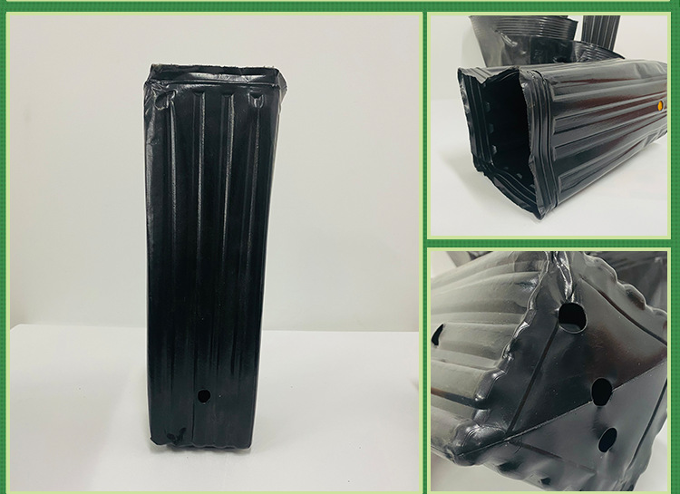 柑橘杯,营养钵,育苗袋