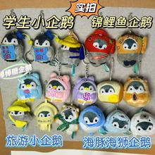 ��ϵ������С���Zë�q������Z����ë�q���ë�q��ż��������Y��