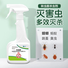 ߻�x�����x�����F���ș�҃�С�w�xΛρ���释�F�N�������Λρș