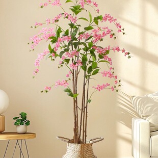 ���z���򻨼پGֲ�����޾Ƶ�䁙����Ҿ�������Ԕ[���b�