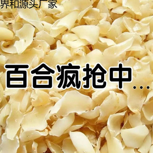 �ٺϸ���؛�o��ٺ�ʳ�ðٺ������؛�ٺ�ɏ�Ӽt���y����