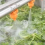 自动成套定制果蔬流水线