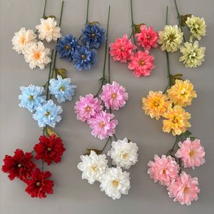 �羳���滨3�^ܽ��ĵ��������Y�Ƶ��b�·���廨�쾰�zӰ����