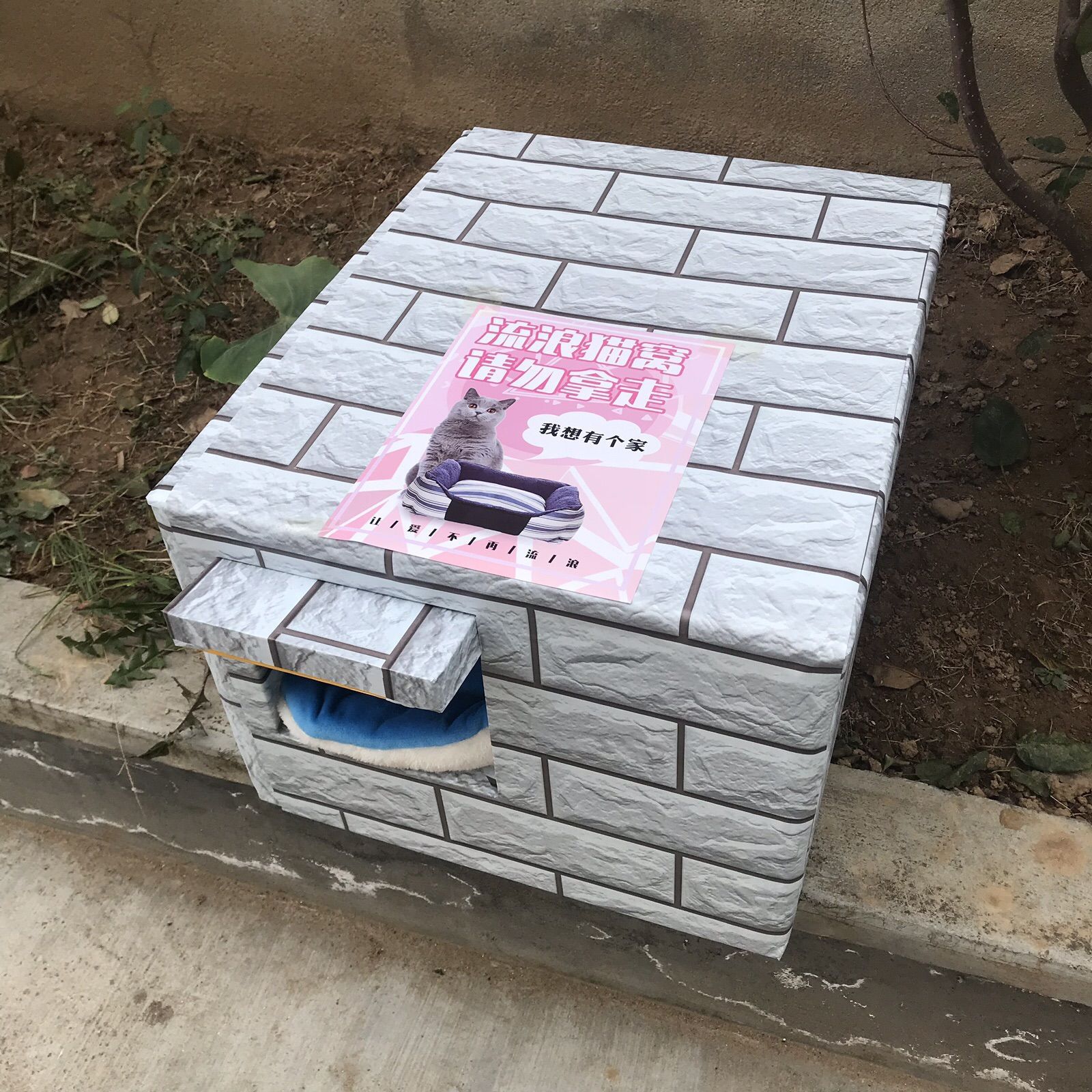 두꺼운 고양이 매트가 있는 블루 타일 스톤 사각 구멍(문 처마 포함)