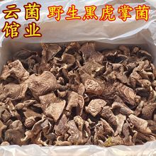 野生虎掌菌 獐子菌大量批發雲南野生菌食用農產品香味十足價格低
