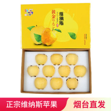 ���ھS�{˹�S���O�����ͱ������O�����rˮ����������Fժ�S�O��