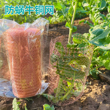 ��΁ţ�~�W�羳���l�~ᘿ��z�W�����F؛늴�����ˮ�ͷ��x�^�V�~�W