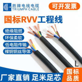 胜牌现货国标RVV阻燃铜芯家用柔软护套线2芯 0.5-16平方多芯电线