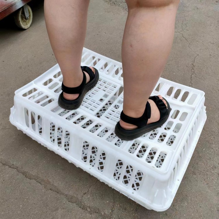 微信圖片_20230706135004