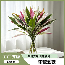 �����֦���F��Gֲ�̨�҃��쾰ֲ��廨��ķ����~�S�����l