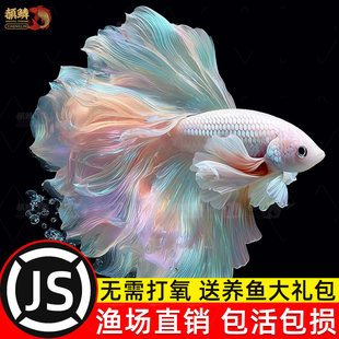 ̩�����~�^�p�~����~�Ꭷ���B�ͻ��wС���~�׵�ˮ������鼆�~