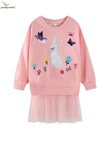 Children's Long Sleeve Sweatshirt Dress - Autumn New Arrival for European and American Girls, Sweatshirt Dress for Girls