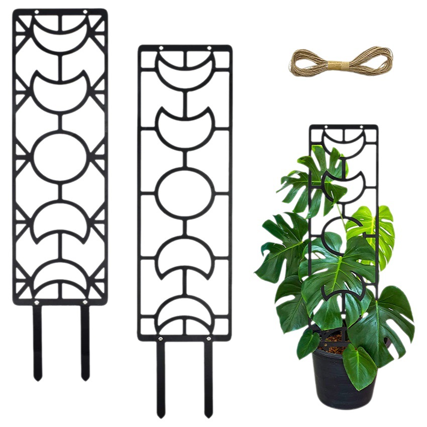 Planta y flor rejilla hierro verde rábano escalada marco lunar en forma de luna extraíble plug-in barra interior planta soporte