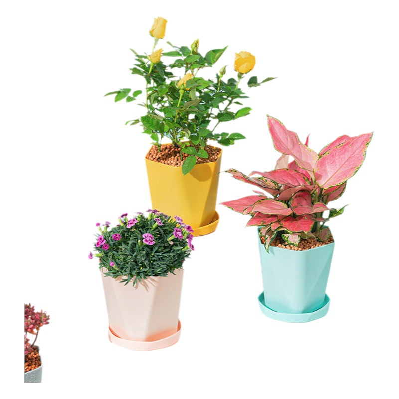 Balcón casa maceta de plástico mesa Nordic viento simple blanco engrosado tamaño galón maceta más fabricantes de carne