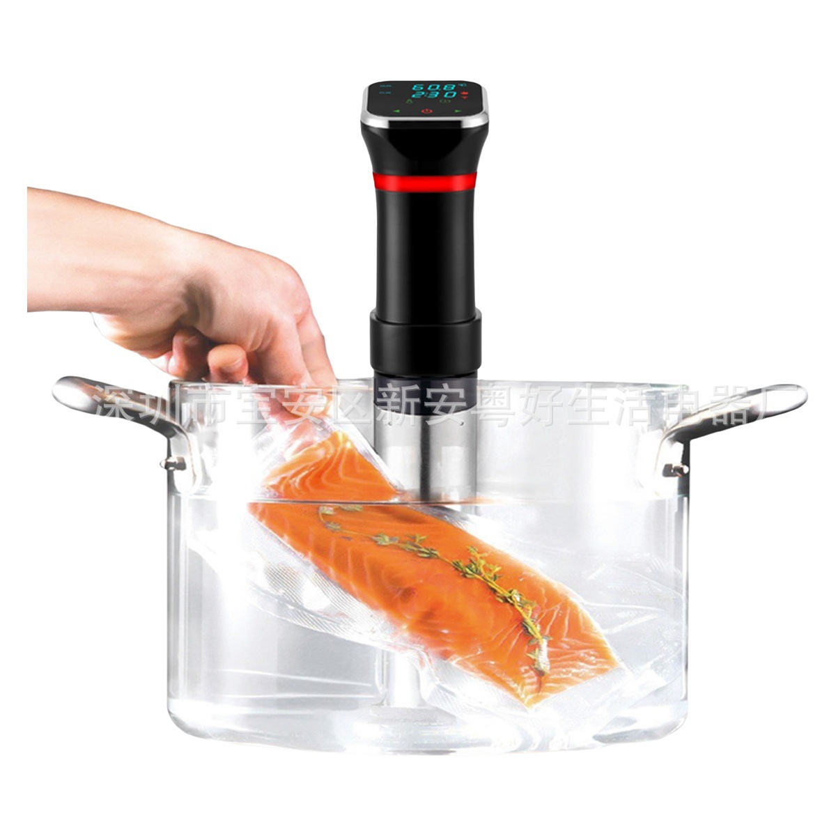 Máquina de cocción lenta de baja temperatura de cocción de precisión Sous Vide máquina Dispositivo de descongelación máquina de carne de vacío