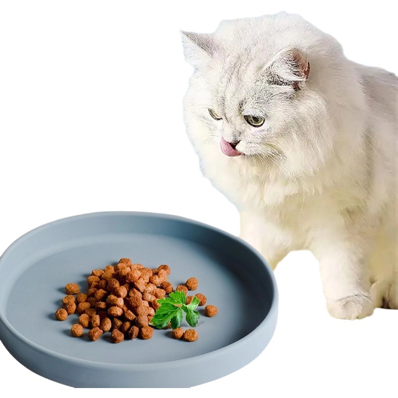 Amazon alimentador de agua caliente Pet Bowl beber perro portátil tazón gato tazón comer anti-desbordamiento placa Silicona Pet Bowl