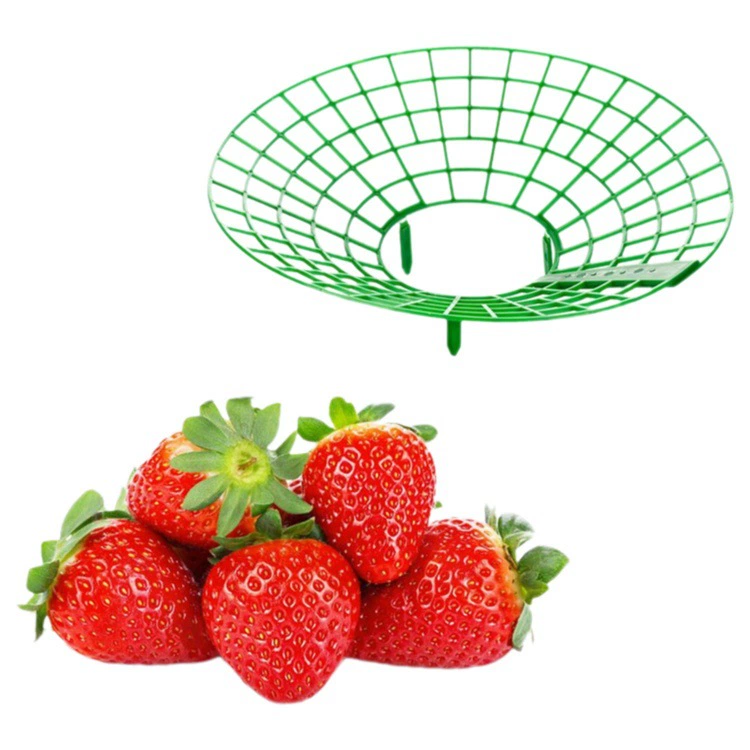 Держатель клубники Стеллаж для посадки рассады клубники Домашняя посадка Стойка для лотка для клубники Садовые принадлежности Стойка для посадки садовых растений