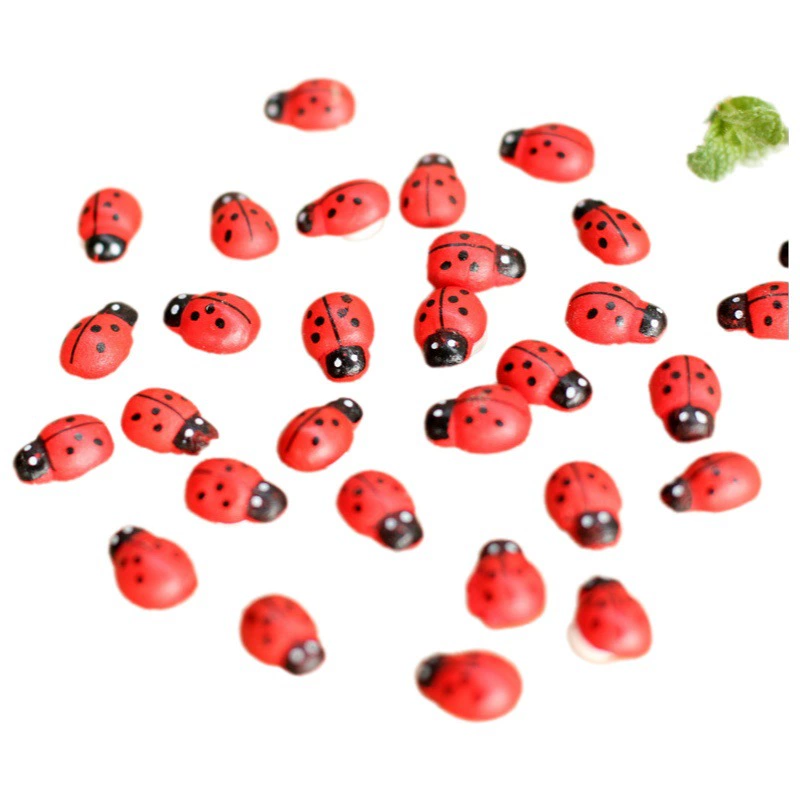 Микро-Ландшафтные украшения аксессуары мясистые украшения деревянные поделки Жук Божья коровка