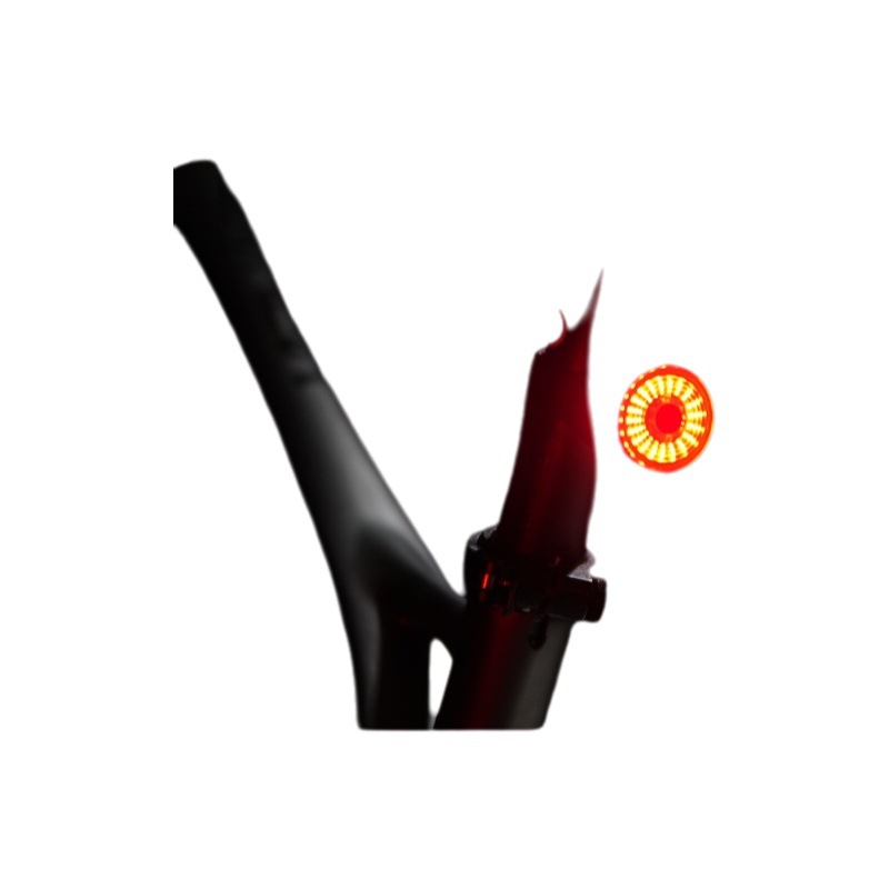 Transfronterizo nuevo freno de inducción inteligente luz trasera bicicleta de montaña luz USB carga carretera bicicleta noche luz trasera