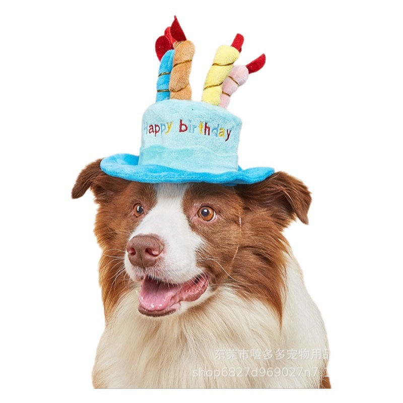 Mascota sombrero de cumpleaños juguete gato perro regalo Año Nuevo Amazon popular nuevo