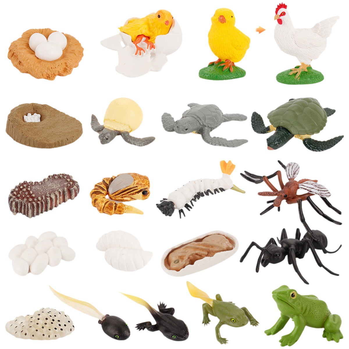 Modelo animal de simulación al por mayor de pollo pato ganso mariposa tortuga Rana ciclo de crecimiento Montessori material didáctico adornos hechos a mano