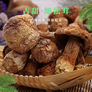 �����ף�һ�����oȾɫ ����Ʒ�| ���������� ����Ģ��