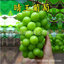 ���������ӡ�����ᭇָ��������������ј��m�ϱ����Nֲ����Y��