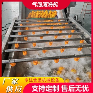定制果蔬气泡清洗机菇娘果鼓泡翻浪清洗机沙棘果气泡清洗风干线