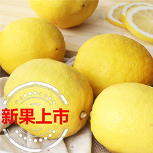 �Ĵ������S�������rˮ��Ƥ���������侫�x��ˮ��������С����خa