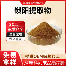 锁阳提取物比例提取水溶性锁阳粉食品级原料源头工厂支持拿样现货