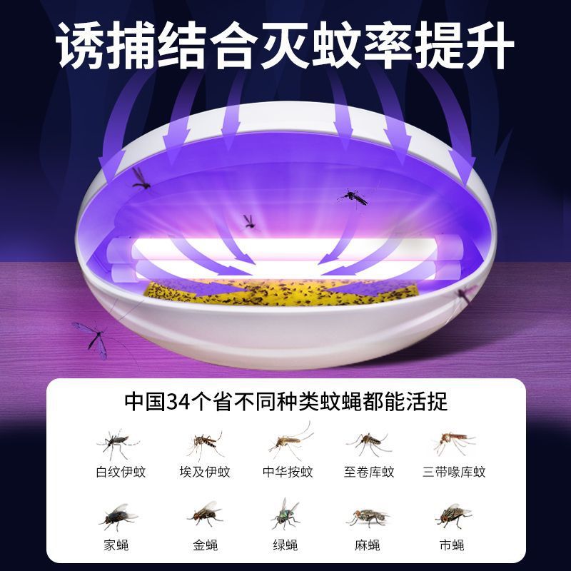 蚊取りランプ粘着式ハエ取りランプ商用ホテル商店壁掛け式蚊取り器レストラン食堂虫取りランプ|undefined