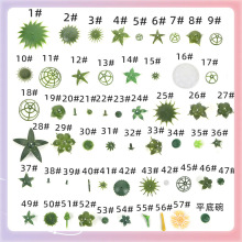 ?SֱNϻлõ廨ջ̫ꖻ