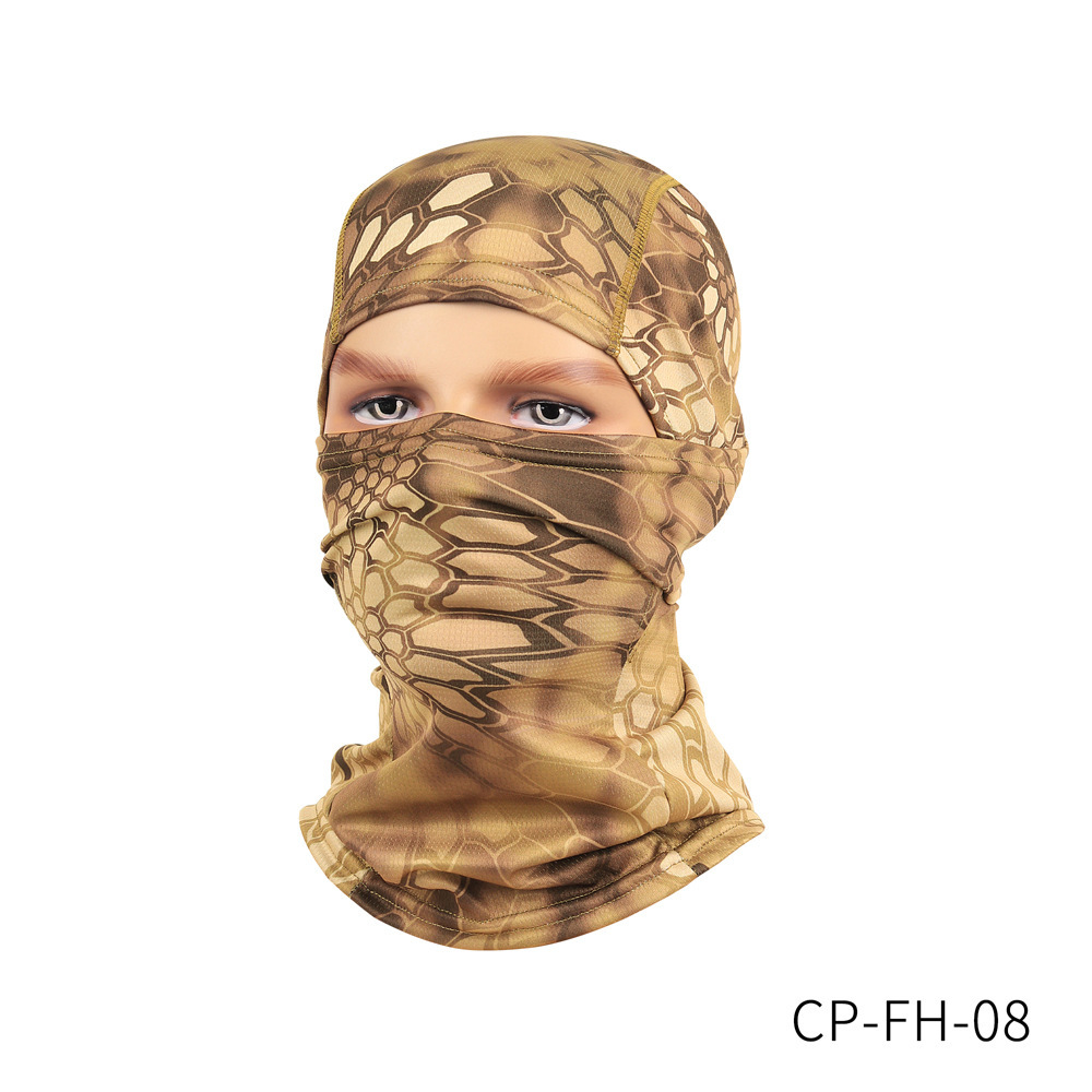 CP-FH-08 사막 파이썬 패턴
