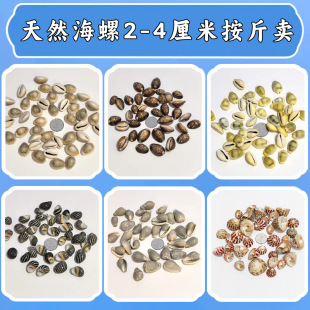 ��Ȼؐ�����ݰ���2-4�����~���쾰diy���N�[��������ղ���