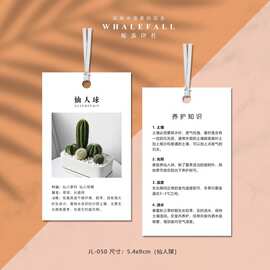 绿植养护吊牌通用 非洲茉莉 仙人球保养吊卡挂牌温馨提示种植卡