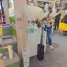 ؈��߳��L�Uɽ�uë/�r�Bë��؈����K��؈��ߌ�����Ʒ�S�����l