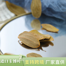 ���������~ �ɲ����l�����Ĕz����DIYֲ���b����˱��~��������