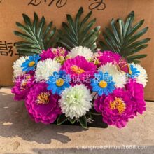��˿ĵ���ں� �辰 �軨 ���� ������ ɨĹ �����ŵ������Ʒ����