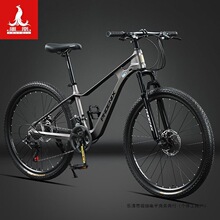 �P���V�Ͻ�ɽ����Ů����܇׃�ن�܇���ˌW��������ԽҰ�p��·