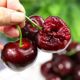 枇杷;柑桔;石榴