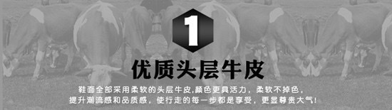 /O1CN011CBEvo2EIH9Xzdpy0_!!2219824538721-0-cib.jpg?x-oss-process=image/format,png