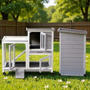 �羳���ڌ�ľľ���҃ȑ����û\�����ݎ��бP���Ƅ��p�Ӵ���g�û\