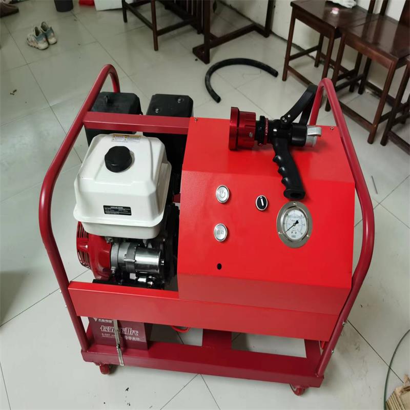 森林消防水泵 800-1000米带检测报告单缸四冲程风冷一键启动水泵