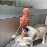Кошка скалолаза рамка интернет знаменитость кактус кот гнездо Тонгтианьжа Сизаль Кот царапин