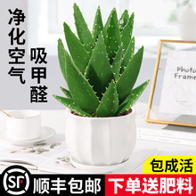 �J�C�����҃ȳ���ȩ�����՚⻨�ܾGֲ�k�������ƶ���ֲ���ļ����B