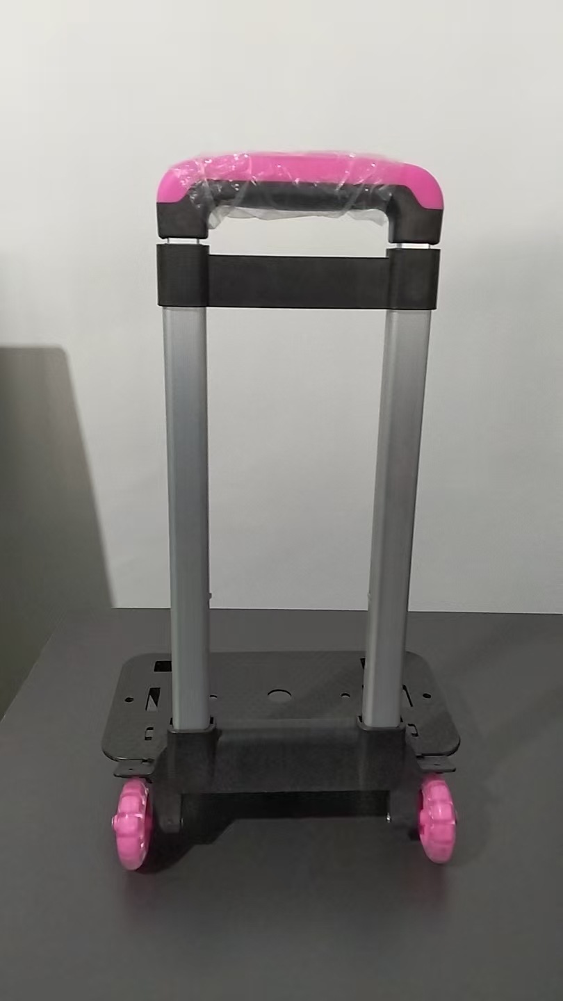 여성용 2륜 트롤리