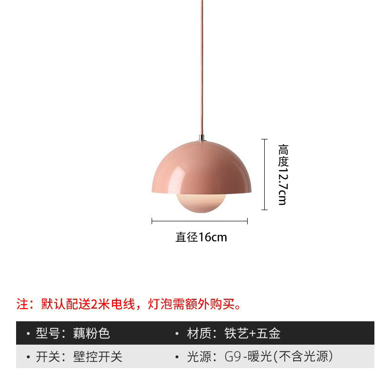 Lotus root pink-small size 16cm