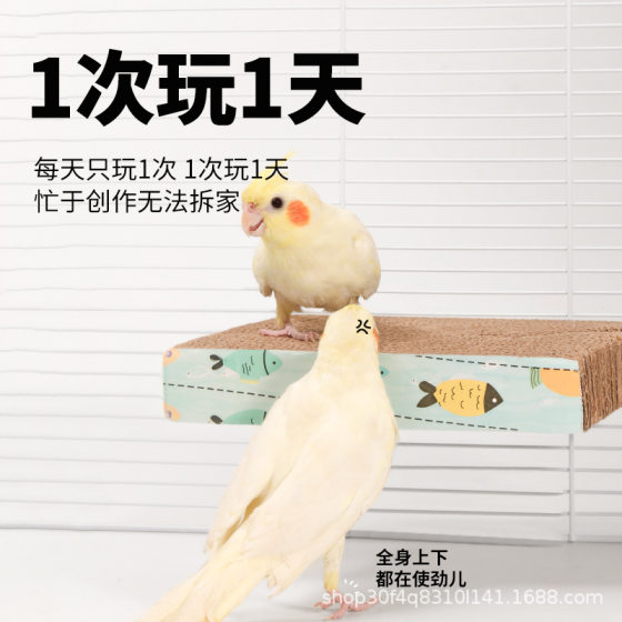 Tiger skin xuanfeng little sun parrot lasagna cardboard foraging bite toy to relieve boredom self-hi decompression platform mouth grinder