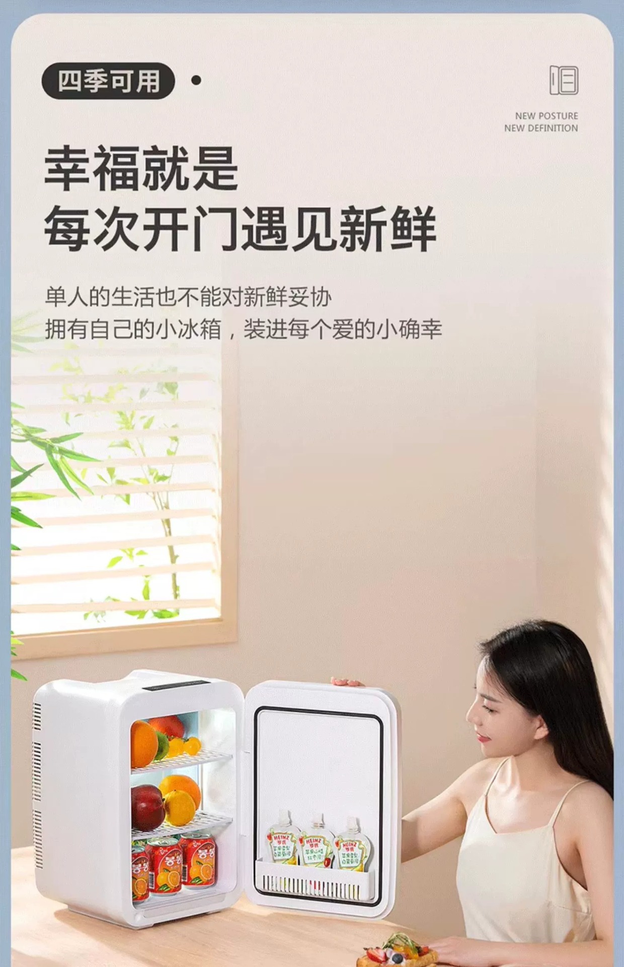 Mini Portable Car Refrigerator 20L